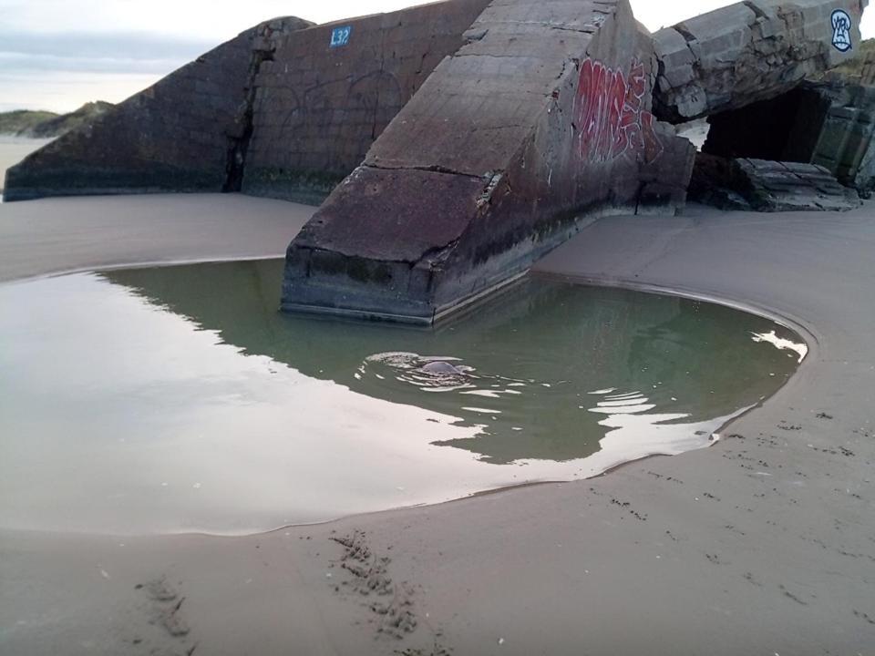 Appartement Joe Cocker à Dunkirk Extérieur photo